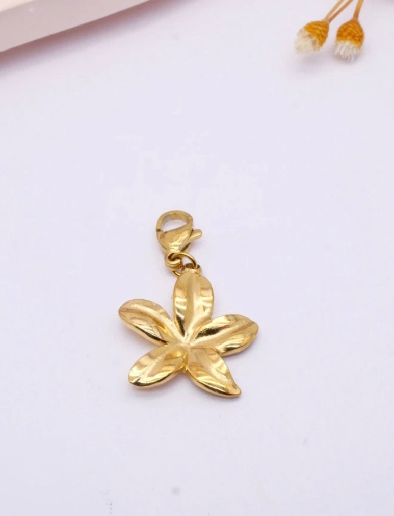Charms pour collier personnalisable